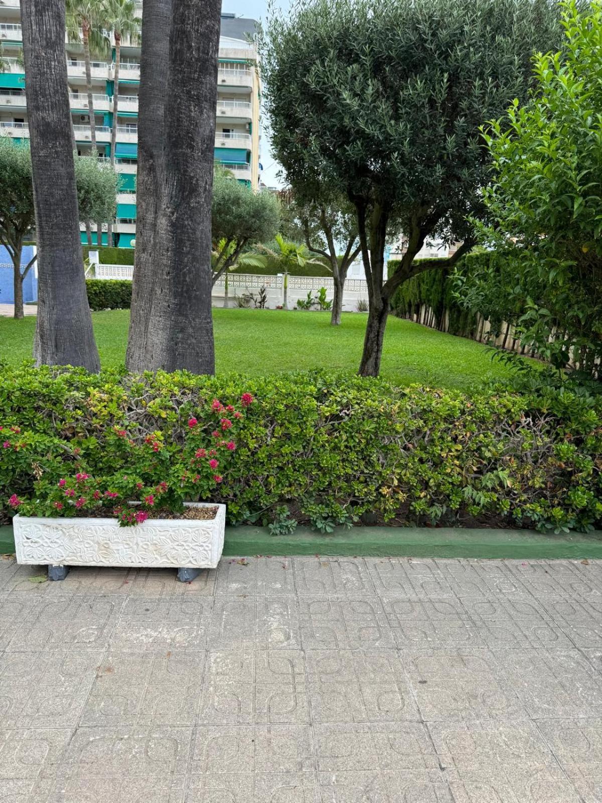 Appartamento Laramar Playa de Gandia Esterno foto